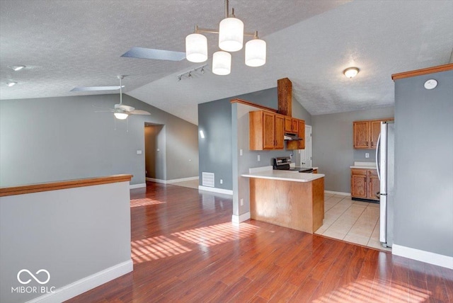 kitchen with pendant lighting, light hardwood / wood-style floors, stainless steel appliances, and vaulted ceiling