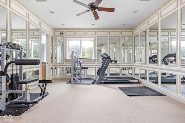 exercise room featuring ceiling fan, carpet, and ornamental molding