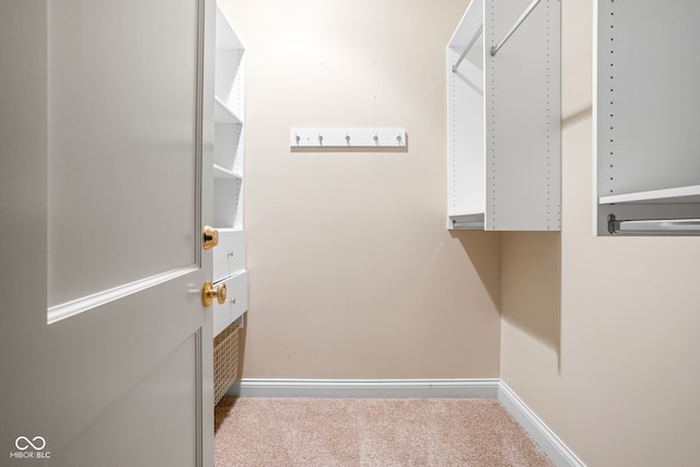 spacious closet featuring carpet