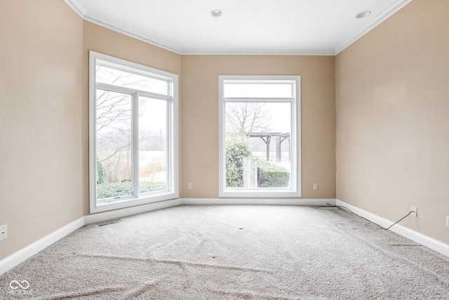 spare room with a healthy amount of sunlight, ornamental molding, and carpet floors