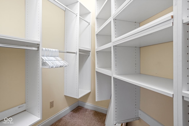 walk in closet featuring carpet floors