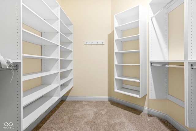 walk in closet featuring carpet flooring