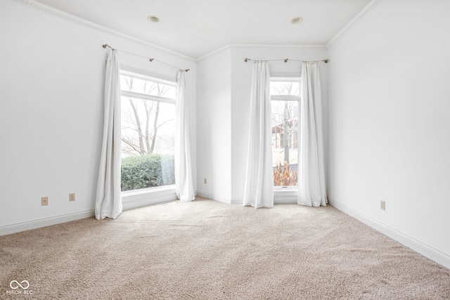 spare room featuring light colored carpet and ornamental molding