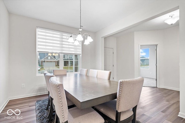 dining room featuring wood-type flooring, a wealth of natural light, and a notable chandelier