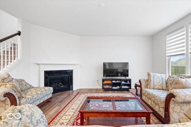 living room with hardwood / wood-style flooring