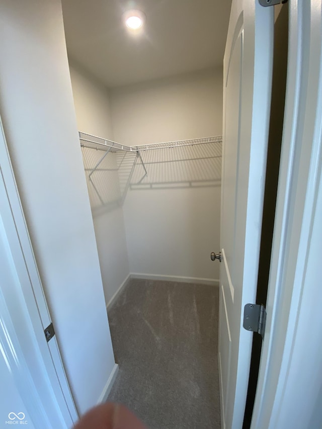 spacious closet with dark carpet