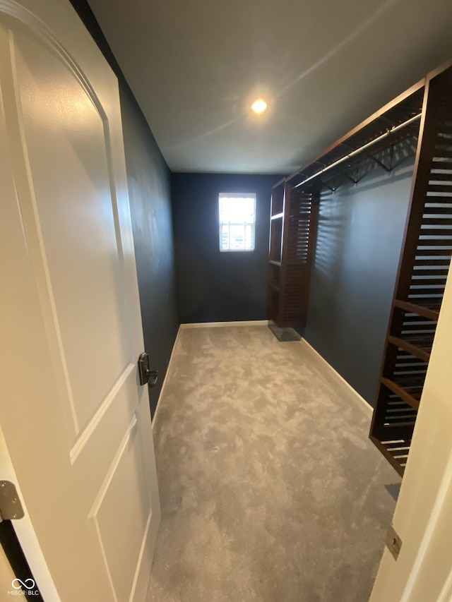 entryway with carpet flooring