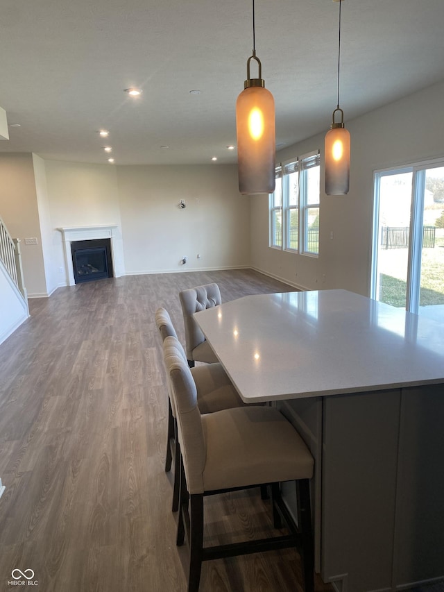 kitchen with pendant lighting, plenty of natural light, and hardwood / wood-style flooring