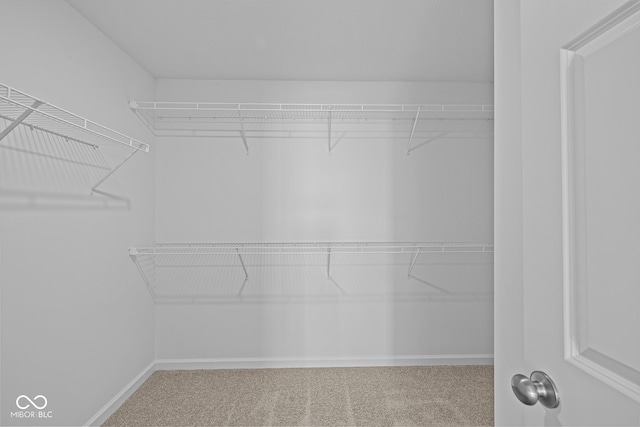 spacious closet with carpet