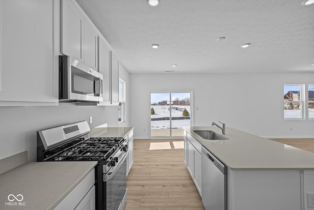 kitchen featuring light wood finished floors, stainless steel appliances, a sink, and light countertops