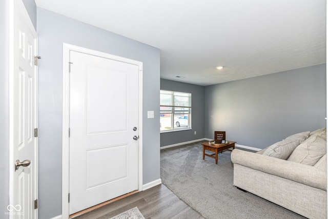 living room featuring hardwood / wood-style floors