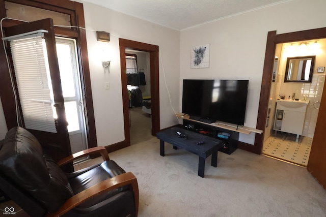 living room featuring light carpet and plenty of natural light