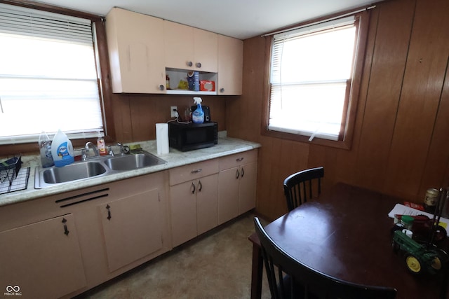 kitchen featuring light colored carpet, white cabinetry, wooden walls, and sink