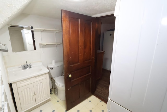 bathroom featuring vanity, a textured ceiling, and toilet