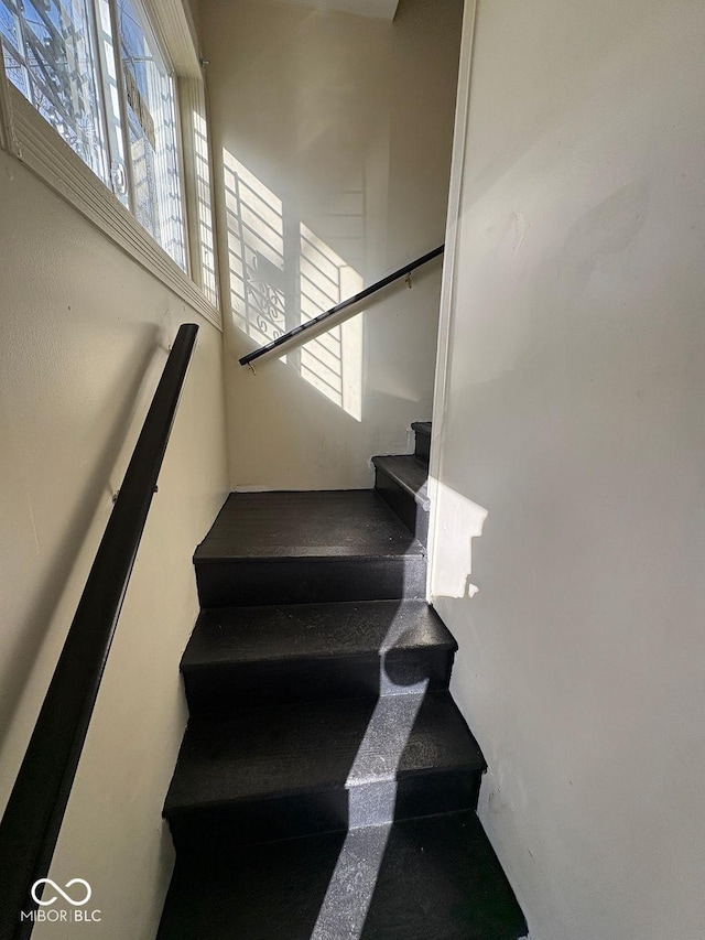 staircase with a wealth of natural light