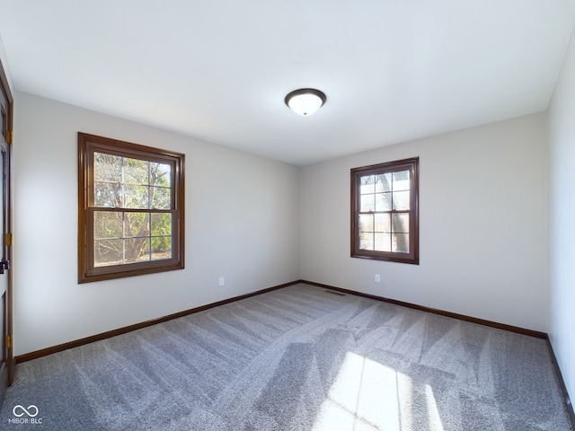 spare room with carpet flooring and plenty of natural light