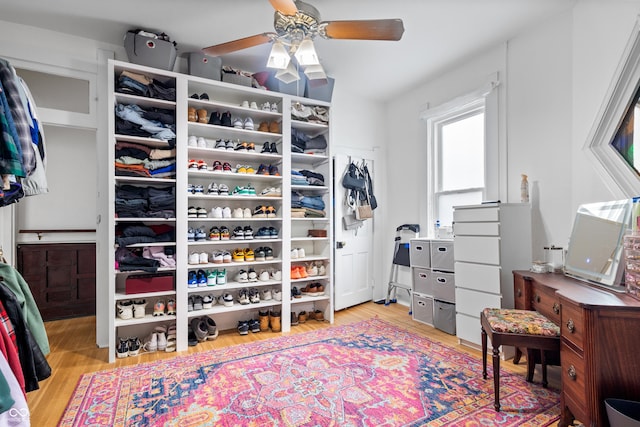 spacious closet featuring ceiling fan and light hardwood / wood-style floors