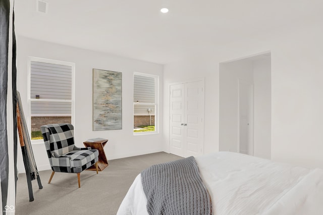 bedroom featuring carpet floors and a closet