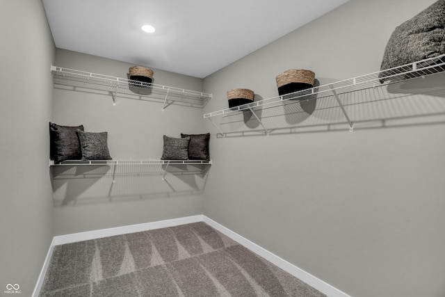 spacious closet with carpet floors