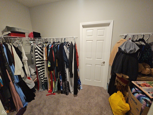 spacious closet with carpet flooring