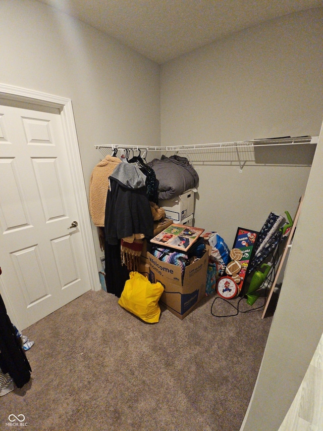 spacious closet featuring carpet floors