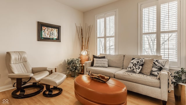 living room with hardwood / wood-style floors