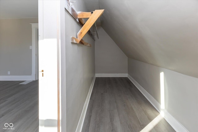 walk in closet featuring dark wood-type flooring and vaulted ceiling