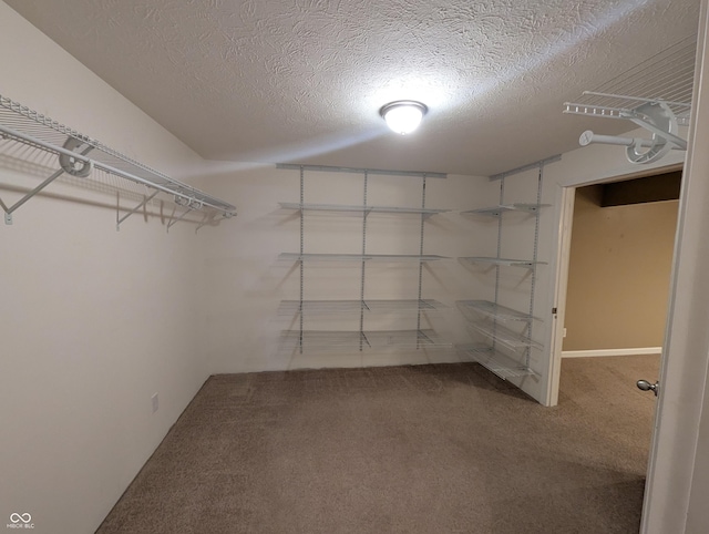 spacious closet with carpet