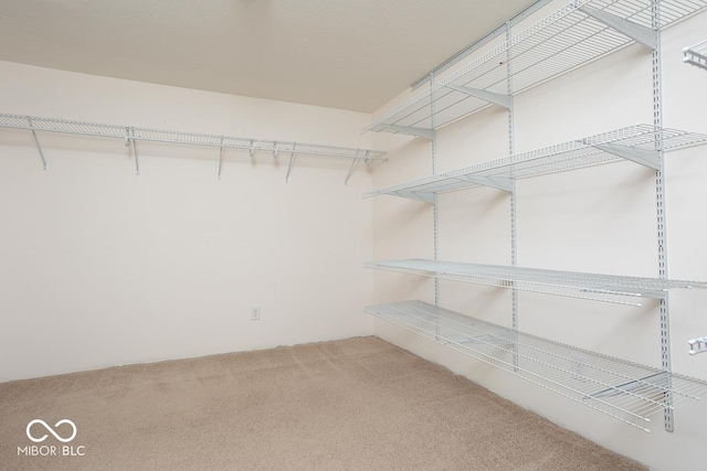 walk in closet featuring carpet flooring