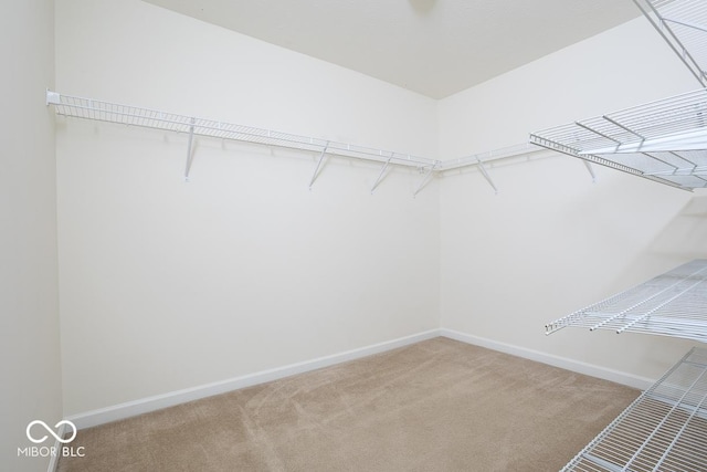 spacious closet with carpet floors