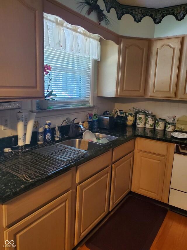 kitchen featuring light brown cabinetry, dark hardwood / wood-style flooring, tasteful backsplash, sink, and dishwasher