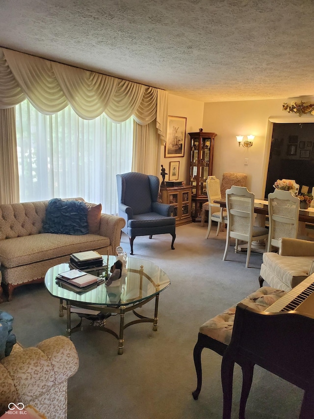 living room featuring carpet and a textured ceiling