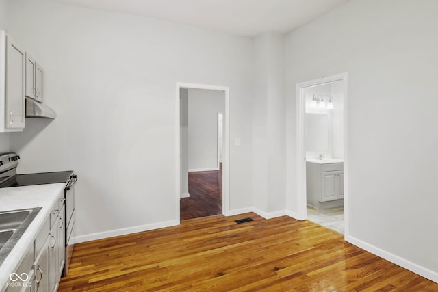 kitchen with sink, light hardwood / wood-style flooring, and stainless steel electric range