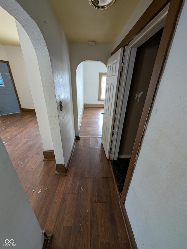 hallway with dark hardwood / wood-style floors