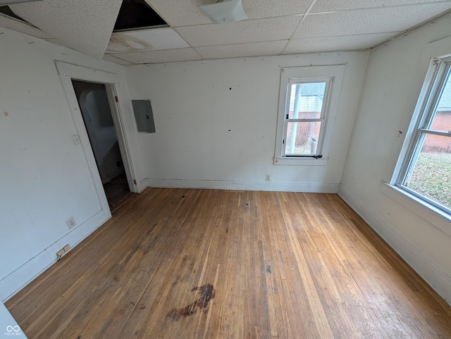 unfurnished room with wood-type flooring, a paneled ceiling, electric panel, and a healthy amount of sunlight