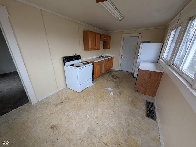 kitchen featuring crown molding, sink, and white appliances