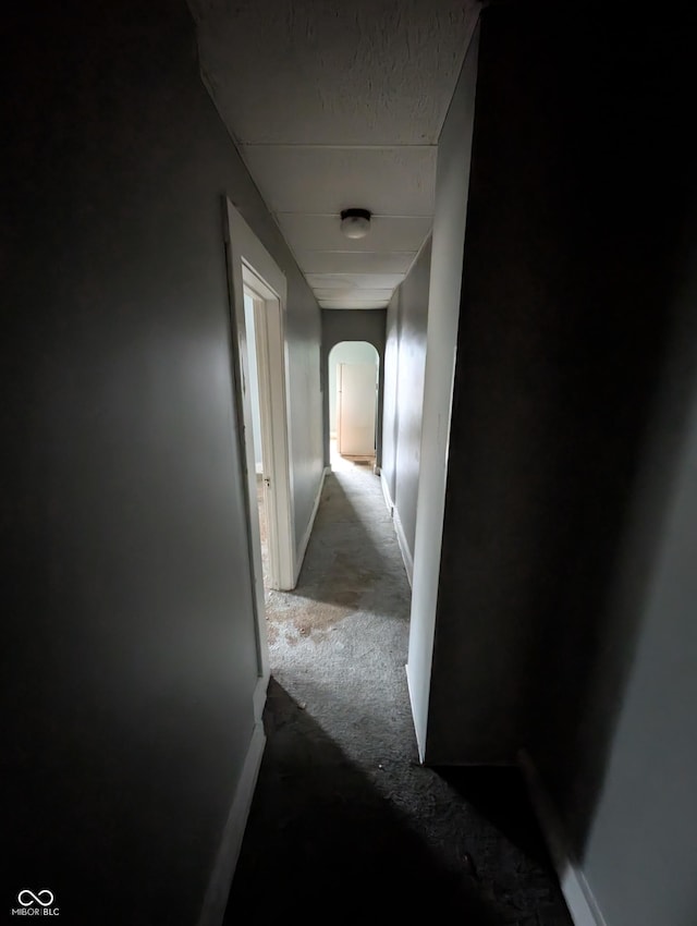 corridor featuring light colored carpet