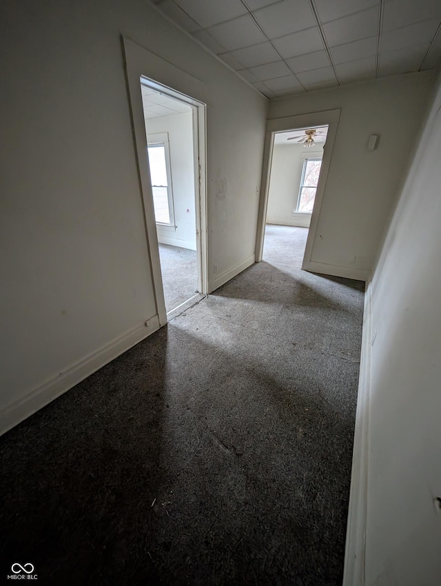 empty room with a paneled ceiling, light colored carpet, a wealth of natural light, and ceiling fan