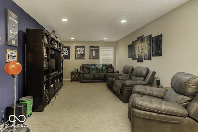 carpeted cinema with a textured ceiling