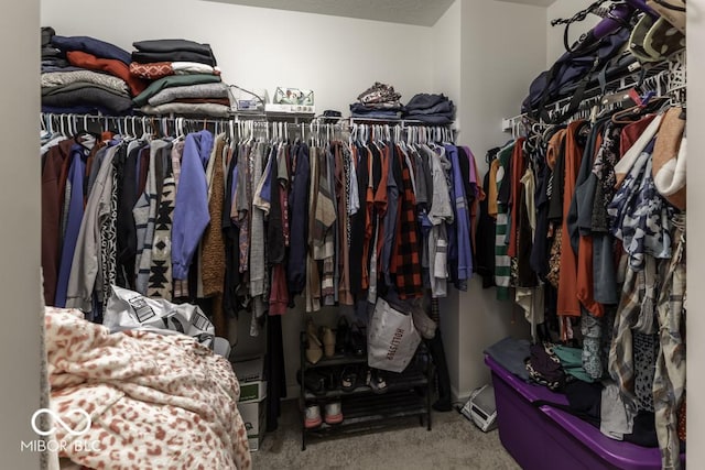 walk in closet with carpet floors