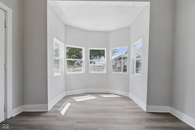 2218 N Arsenal Ave, Indianapolis, IN 46218 - unfurnished room featuring plenty of natural light and wood finished floors