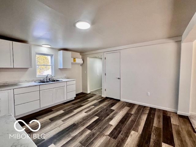 kitchen with white cabinetry, dark hardwood / wood-style floors, and sink