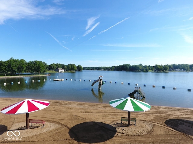 dock area with a water view