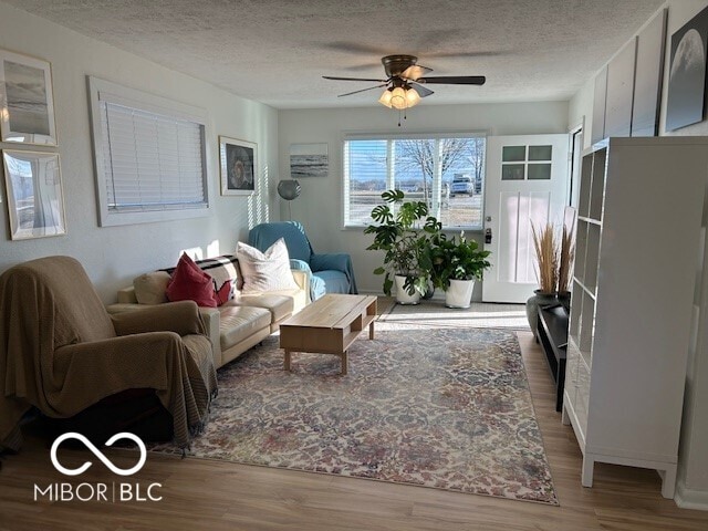 living area featuring ceiling fan, a textured ceiling, and wood finished floors