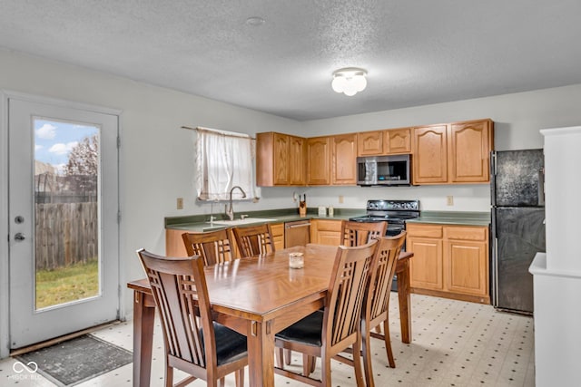 kitchen featuring a textured ceiling, sink, and black appliances