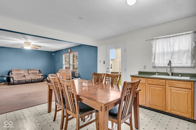 carpeted dining area with a wealth of natural light, sink, and a textured ceiling