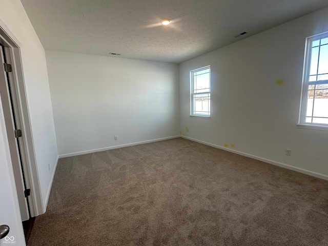 empty room with carpet floors, a textured ceiling, and a wealth of natural light