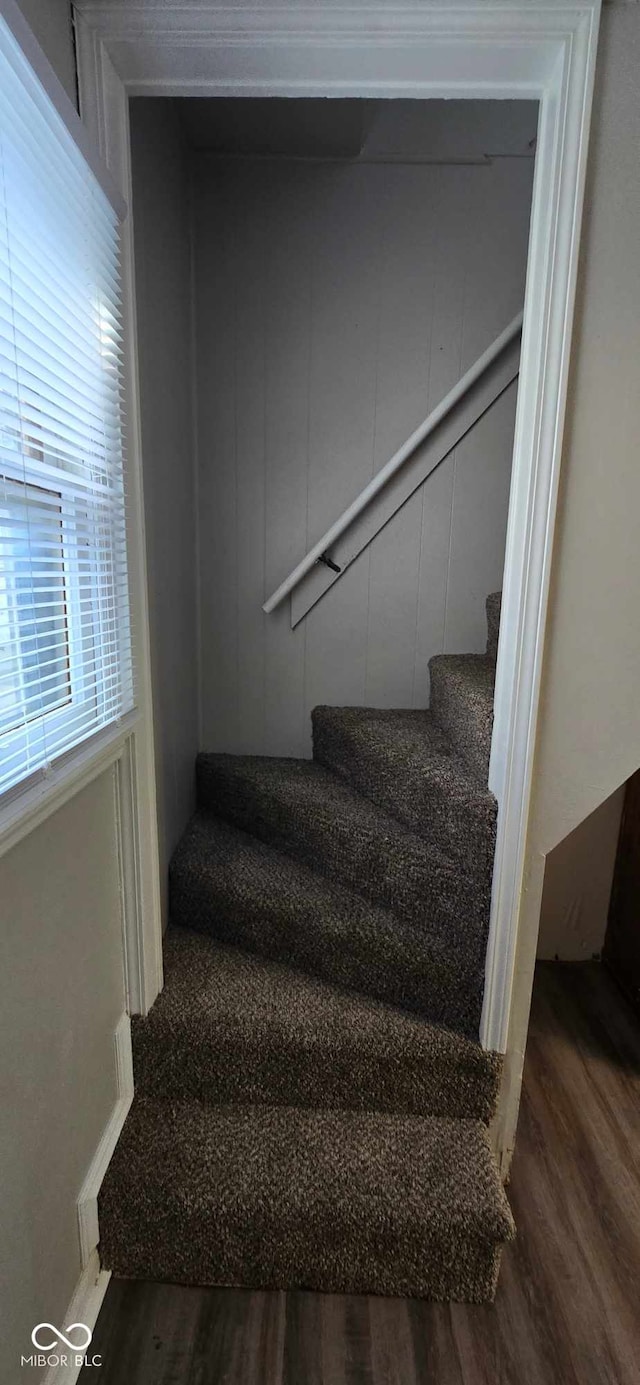 staircase with hardwood / wood-style floors