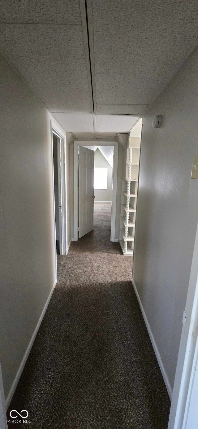 hallway with carpet flooring