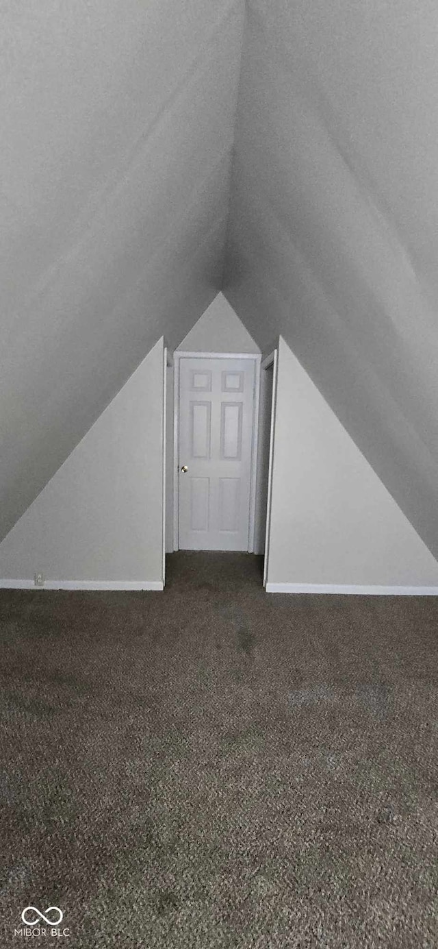 bonus room with carpet flooring, a textured ceiling, and lofted ceiling